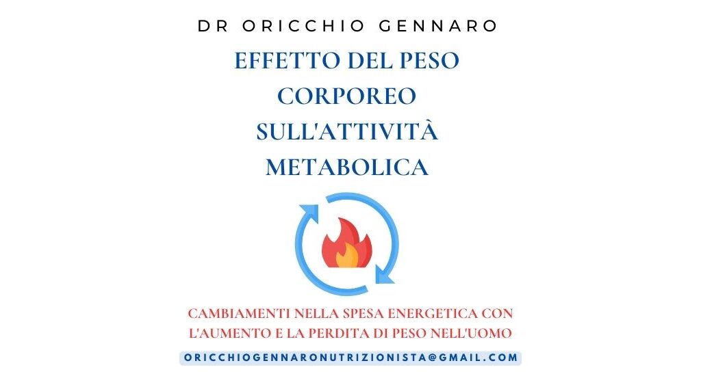 EFFETTO DEL PESO CORPOREO SULL'ATTIVITÀ METABOLICA
