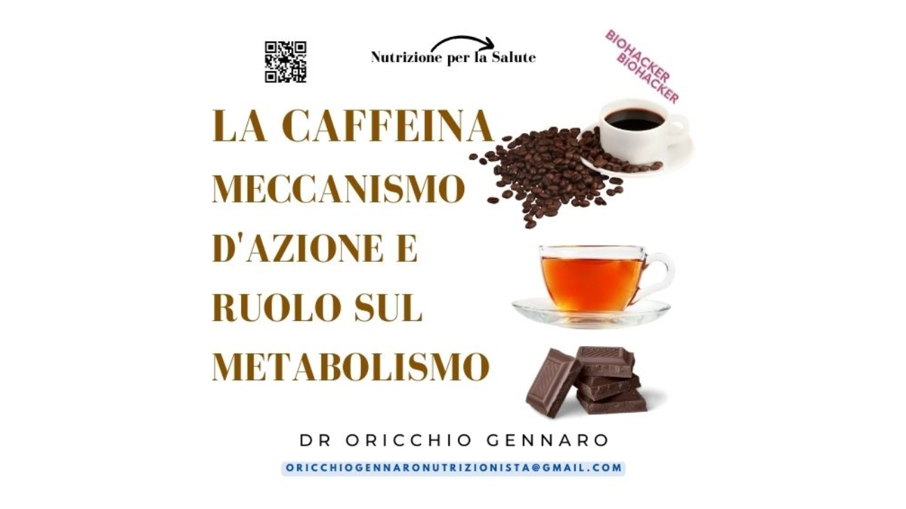 LA CAFFEINA: MECCANISMO D'AZIONE E RUOLO SUL METABOLISMO