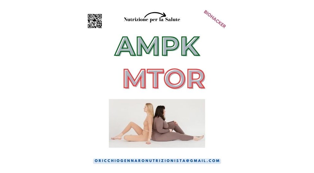 AMPK e mTOR: DUE PROTEINE IMPORTANTI CHE REGOLANO IL NOSTRO METABOLISMO