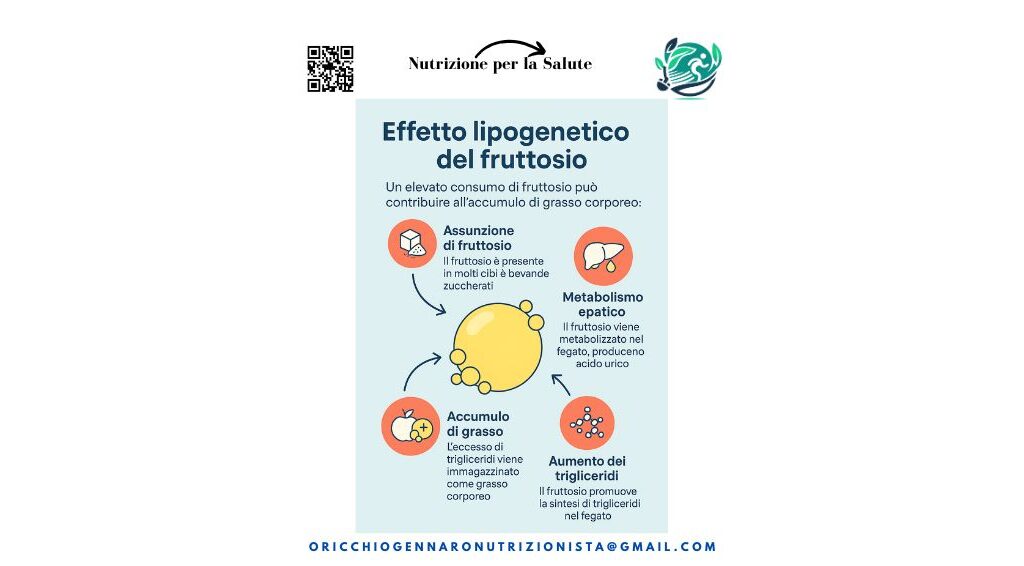 EFFETTO LIPOGENETICO DEL FRUTTOSIO